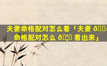 夫妻命格配对怎么看「夫妻 🌻 命格配对怎么 🦄 看出来」